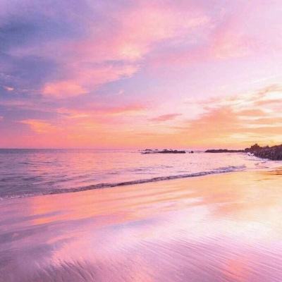 中国银行董事长葛海蛟出席2026中韩工商领导人经济会议系列活动并在上海开展工作调研